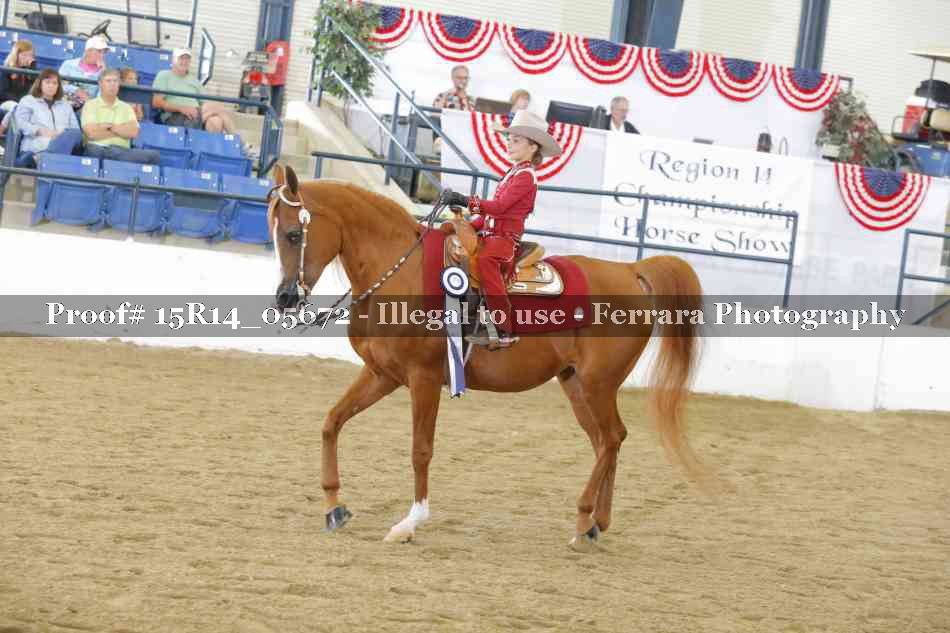 Proof Number 15R14_05672