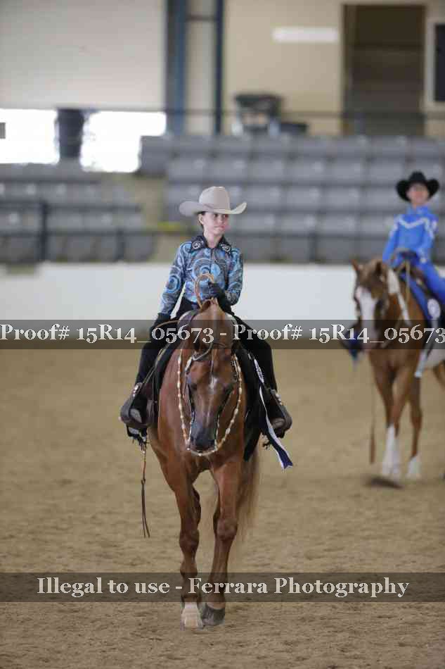 Proof Number 15R14_05673
