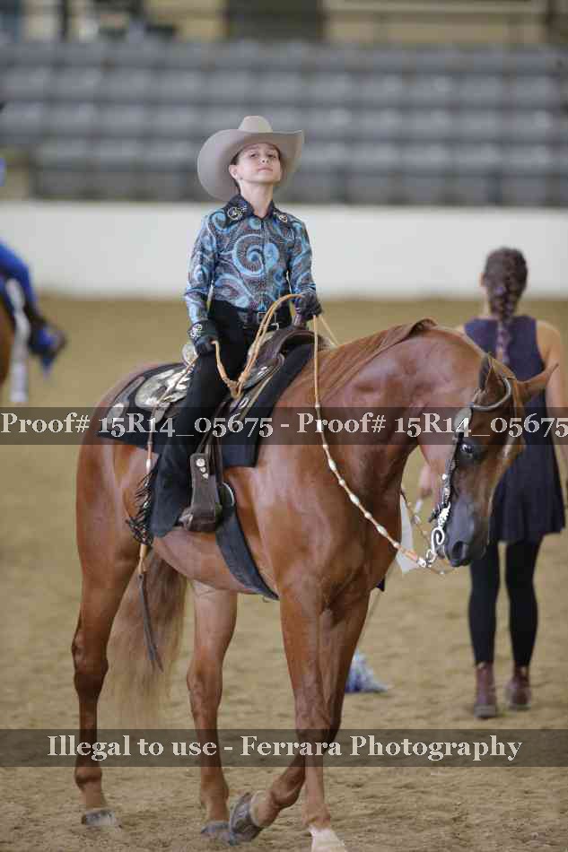 Proof Number 15R14_05675