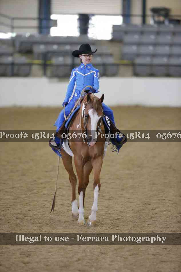 Proof Number 15R14_05676