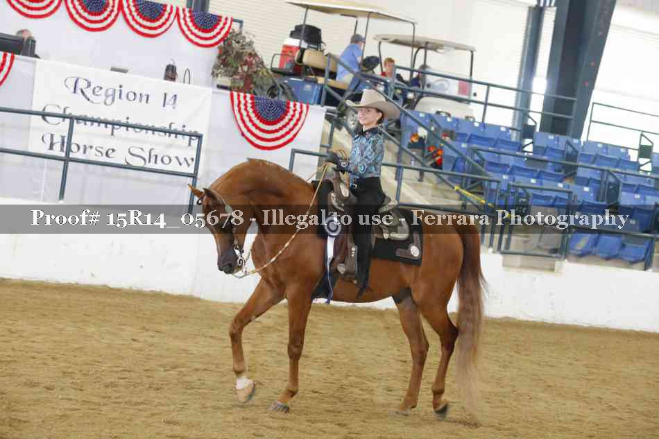 Proof Number 15R14_05678