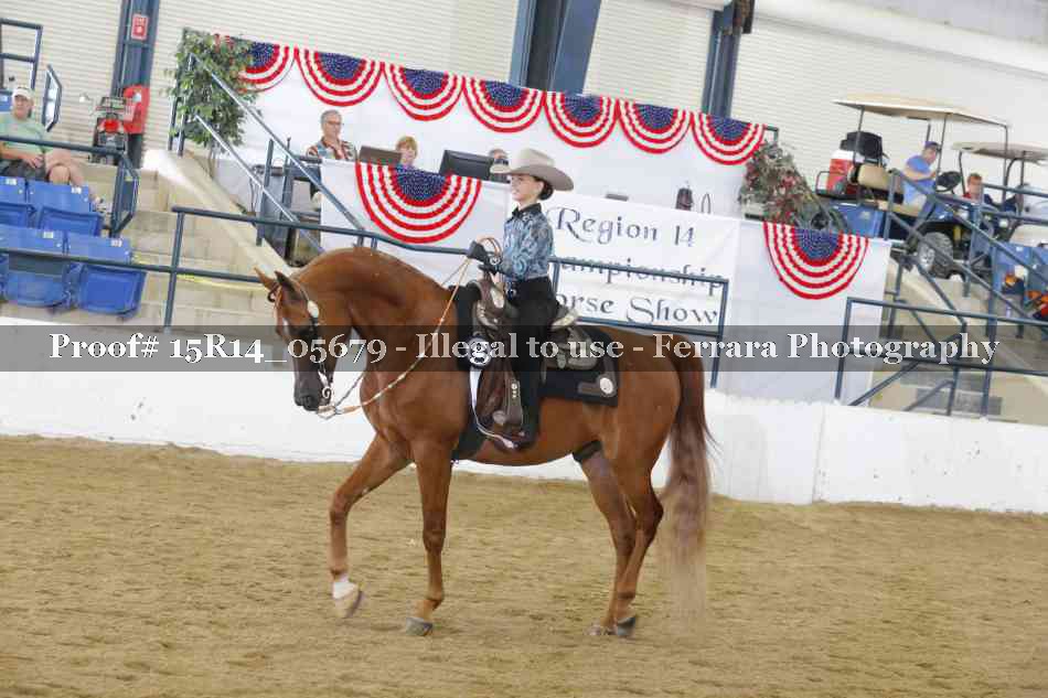 Proof Number 15R14_05679