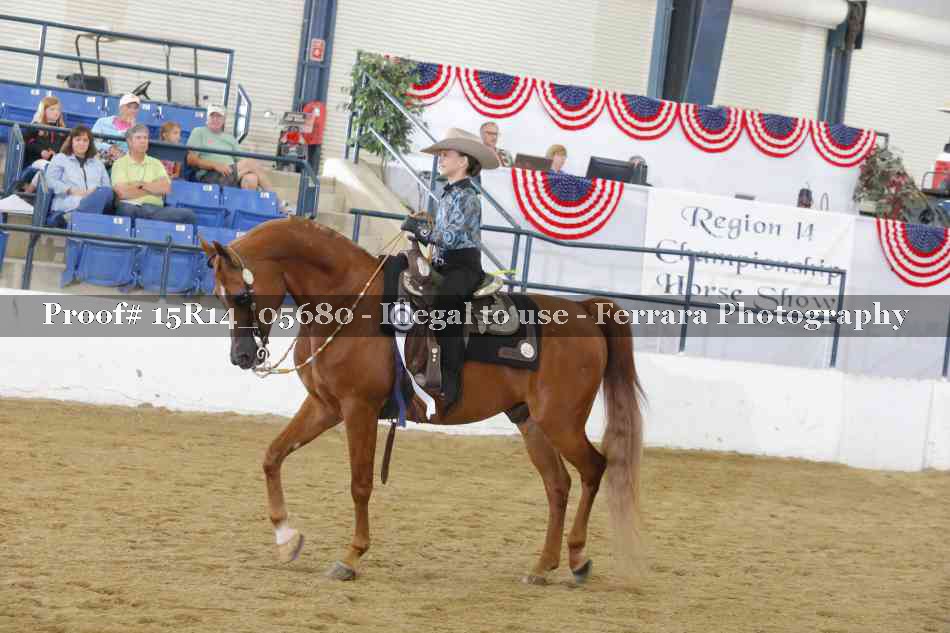 Proof Number 15R14_05680