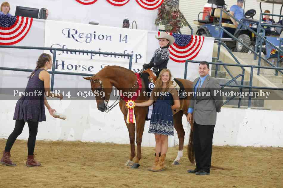 Proof Number 15R14_05689
