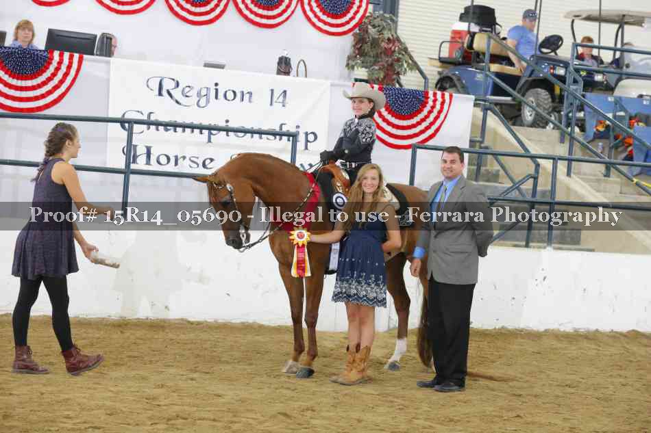 Proof Number 15R14_05690