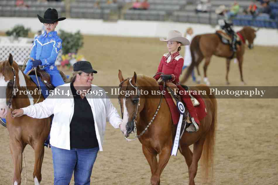 Proof Number 15R14_05695