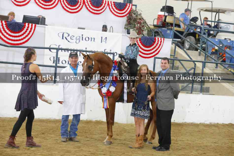 Proof Number 15R14_05701