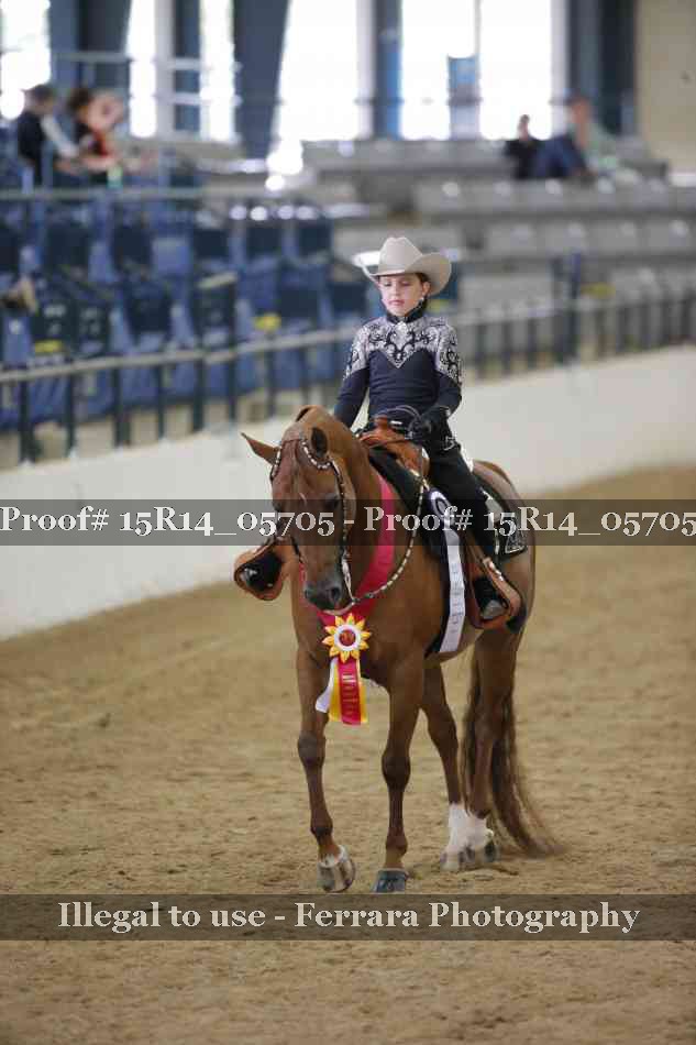 Proof Number 15R14_05705