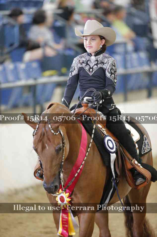 Proof Number 15R14_05706