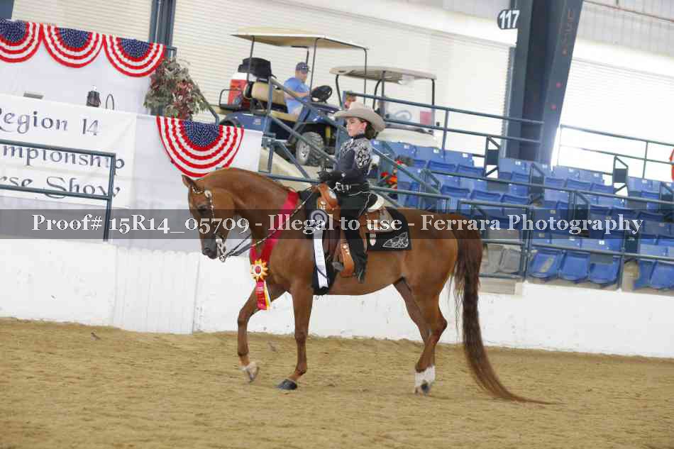 Proof Number 15R14_05709