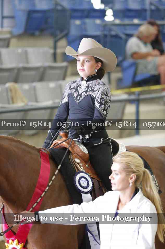Proof Number 15R14_05710