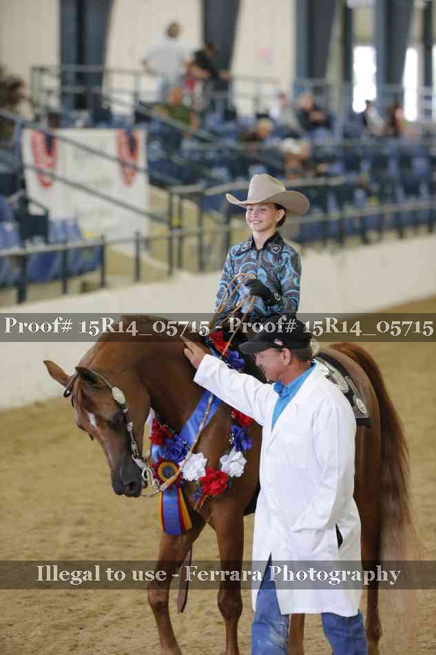 Proof Number 15R14_05715