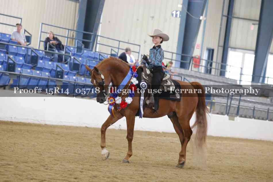 Proof Number 15R14_05718