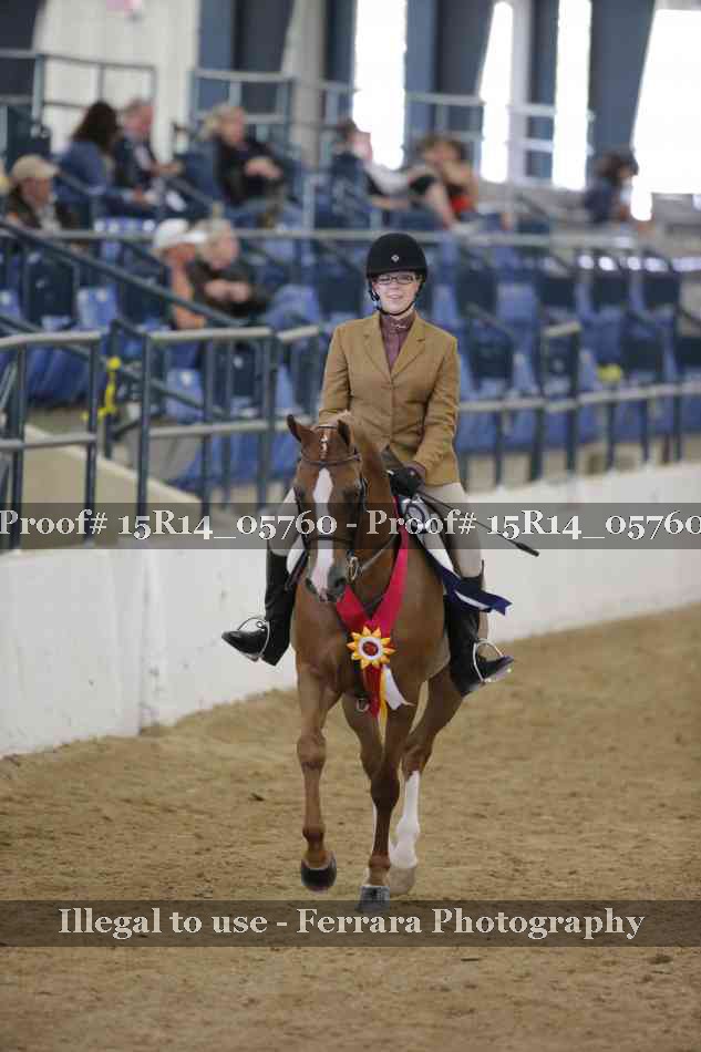 Proof Number 15R14_05760