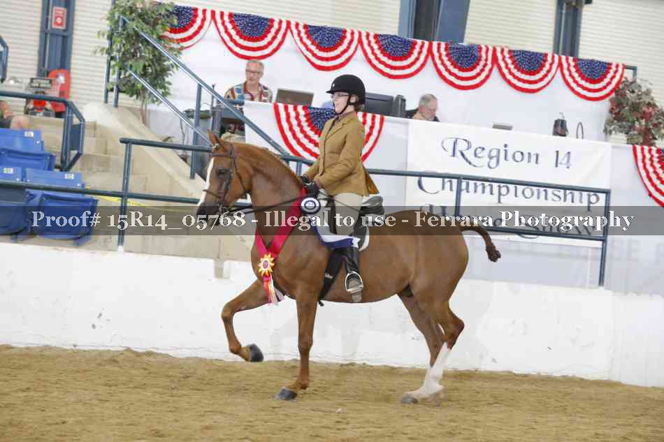 Proof Number 15R14_05768