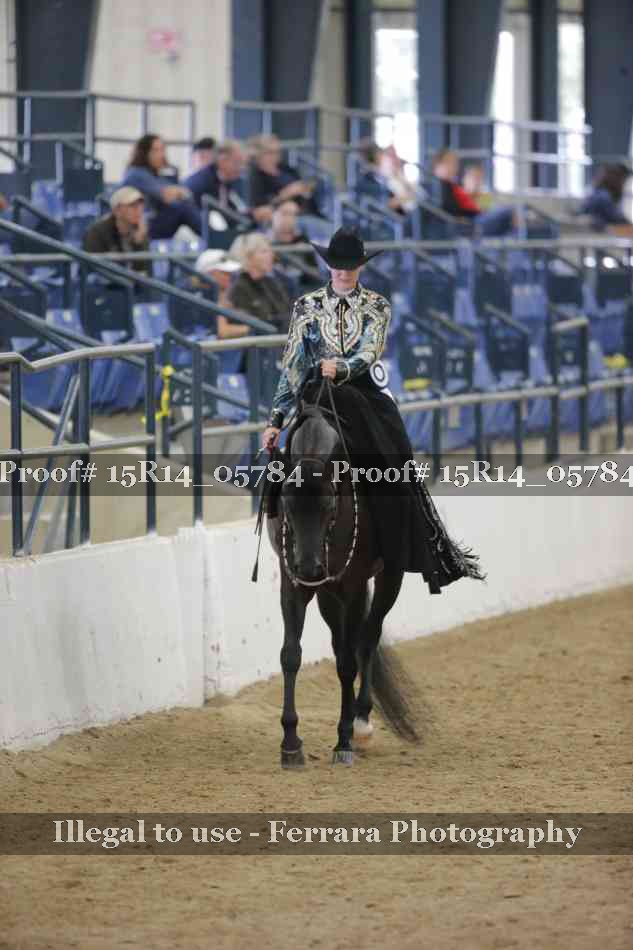 Proof Number 15R14_05784