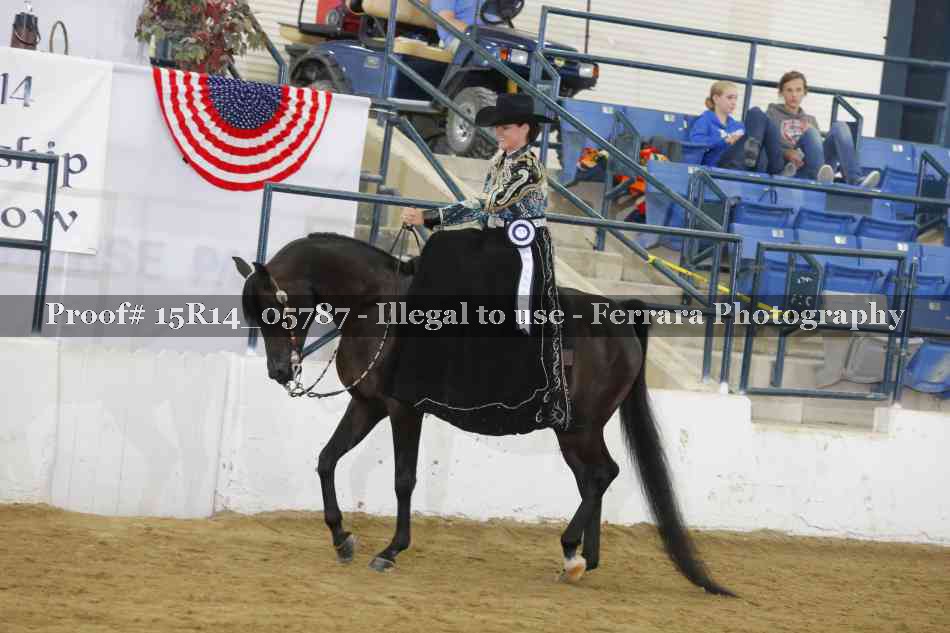 Proof Number 15R14_05787