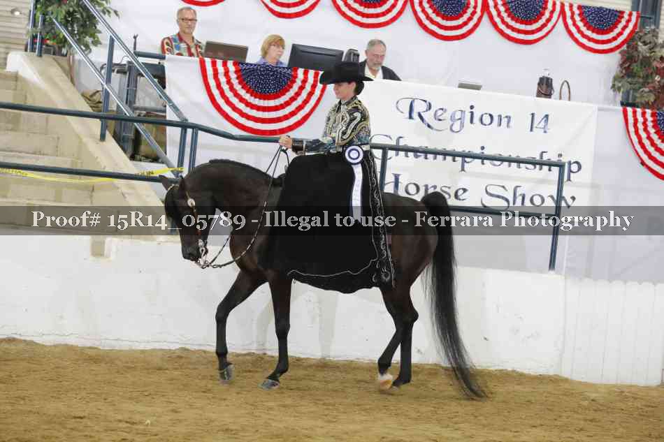 Proof Number 15R14_05789