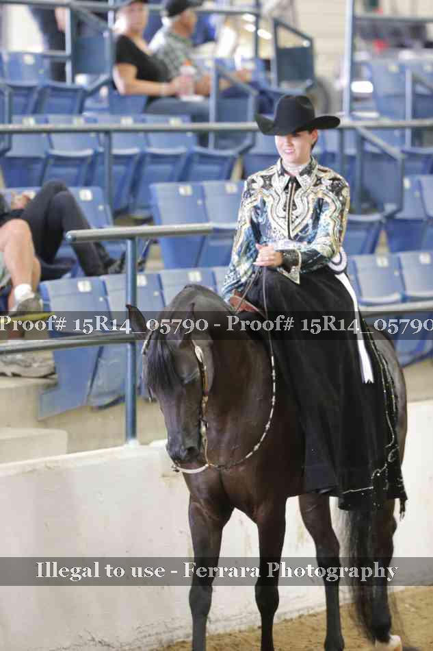 Proof Number 15R14_05790