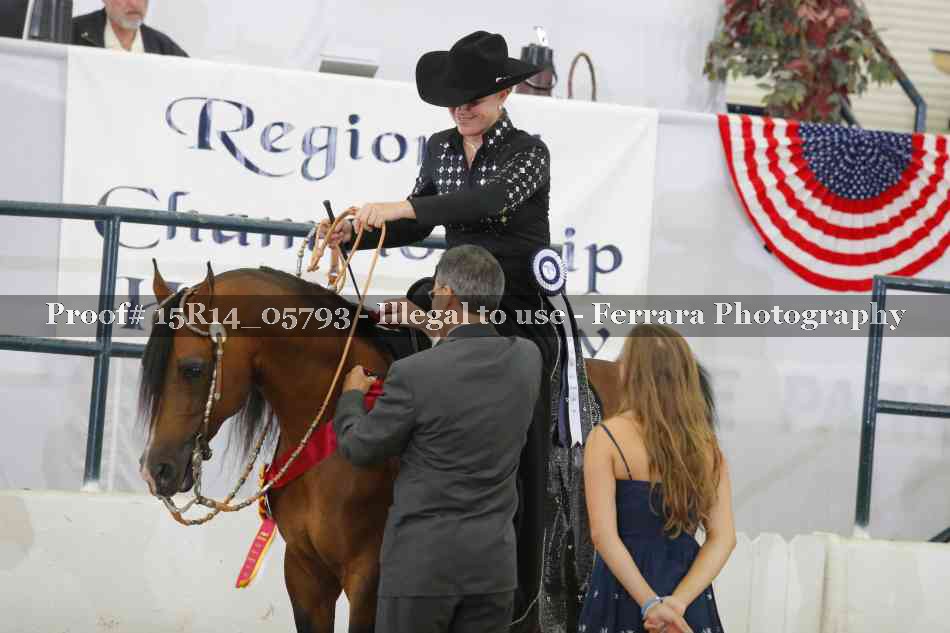 Proof Number 15R14_05793