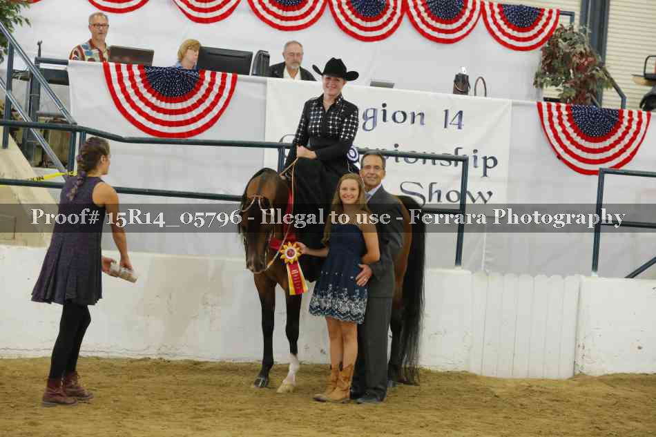 Proof Number 15R14_05796