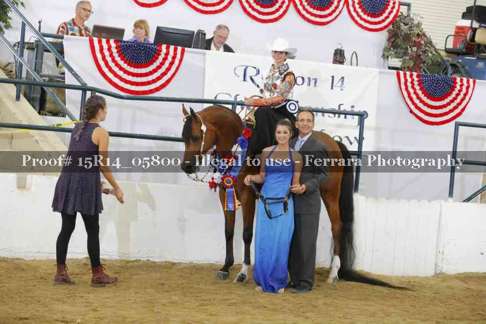 Proof Number 15R14_05800