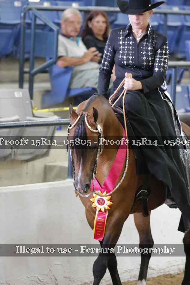 Proof Number 15R14_05805