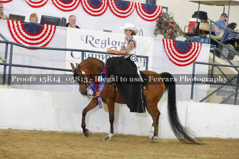 Proof Number 15R14_05813