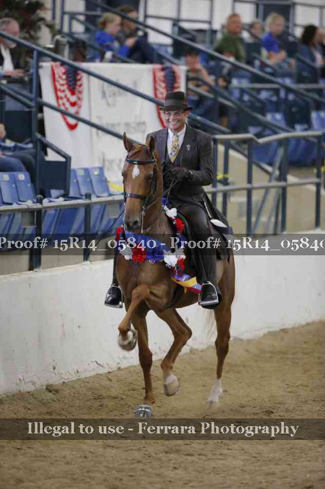Proof Number 15R14_05840