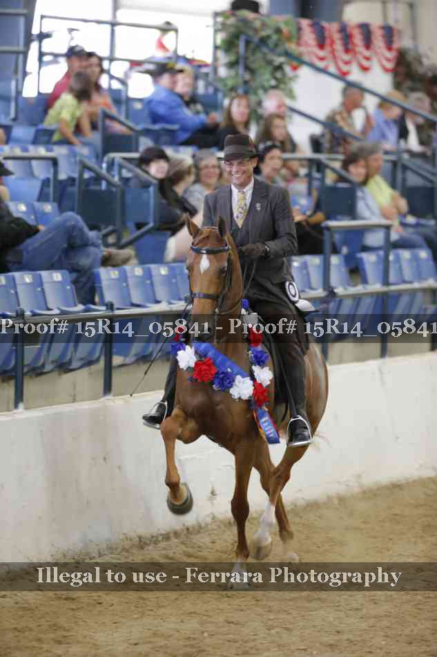 Proof Number 15R14_05841