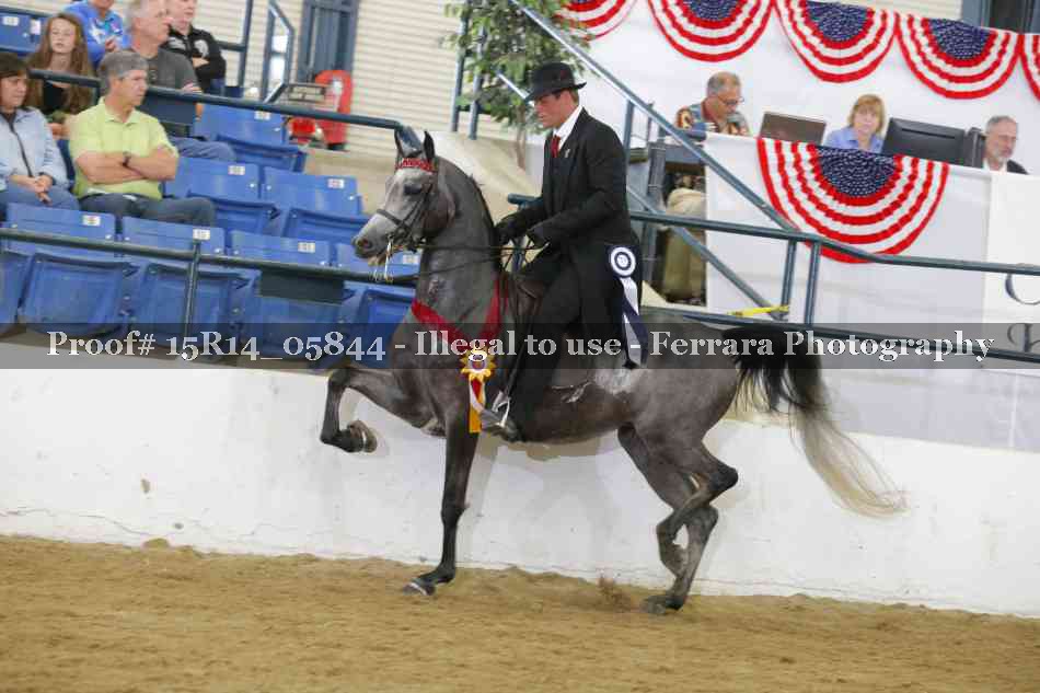 Proof Number 15R14_05844