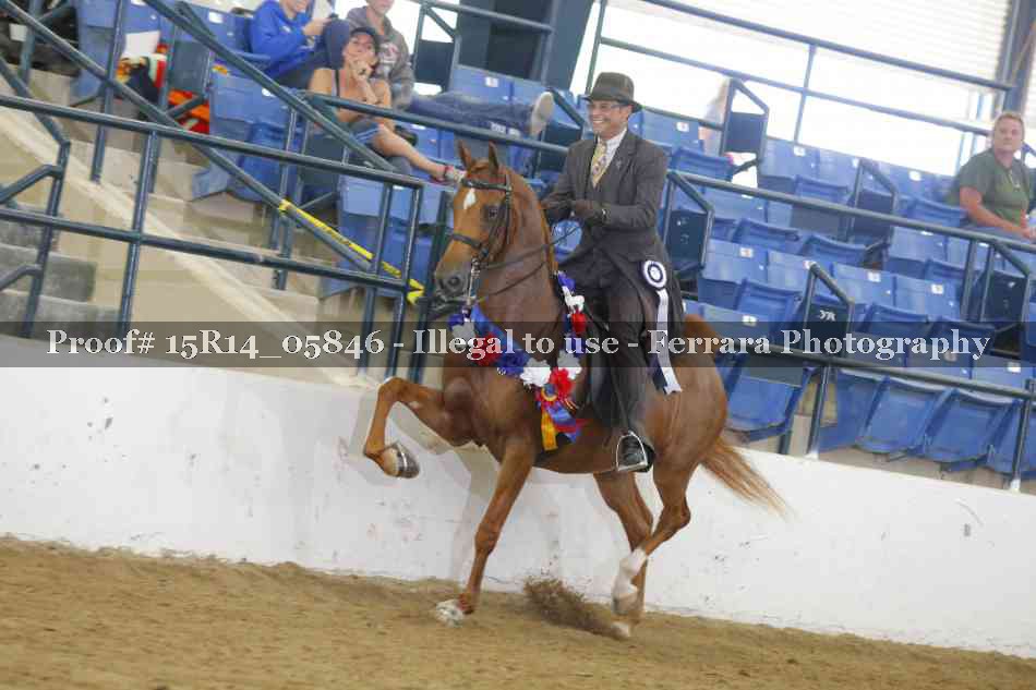 Proof Number 15R14_05846