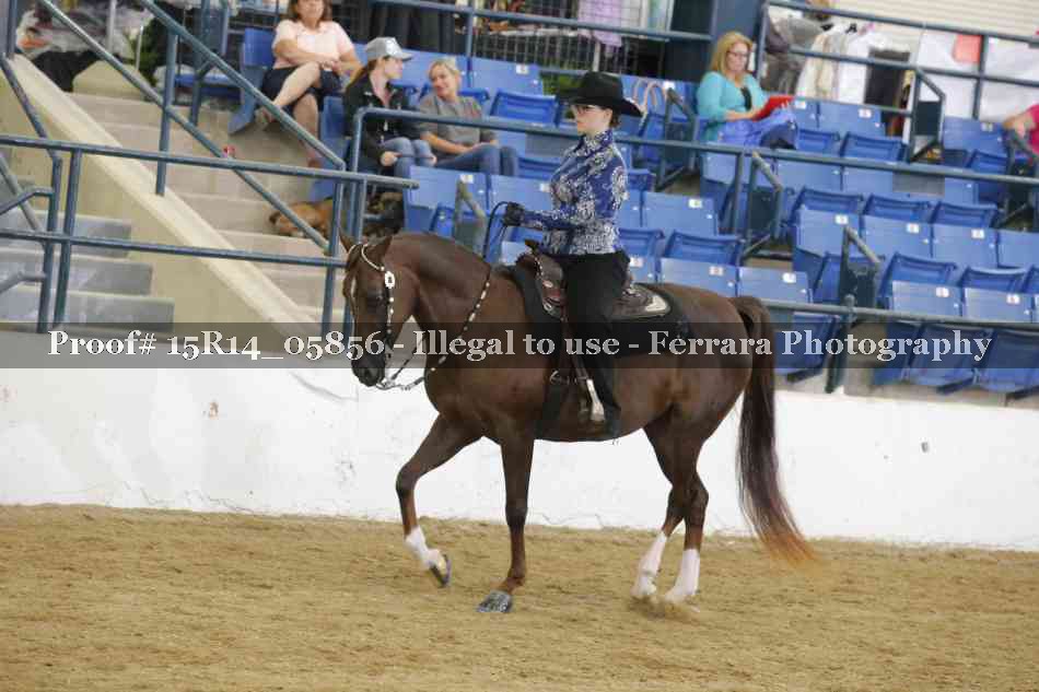 Proof Number 15R14_05856