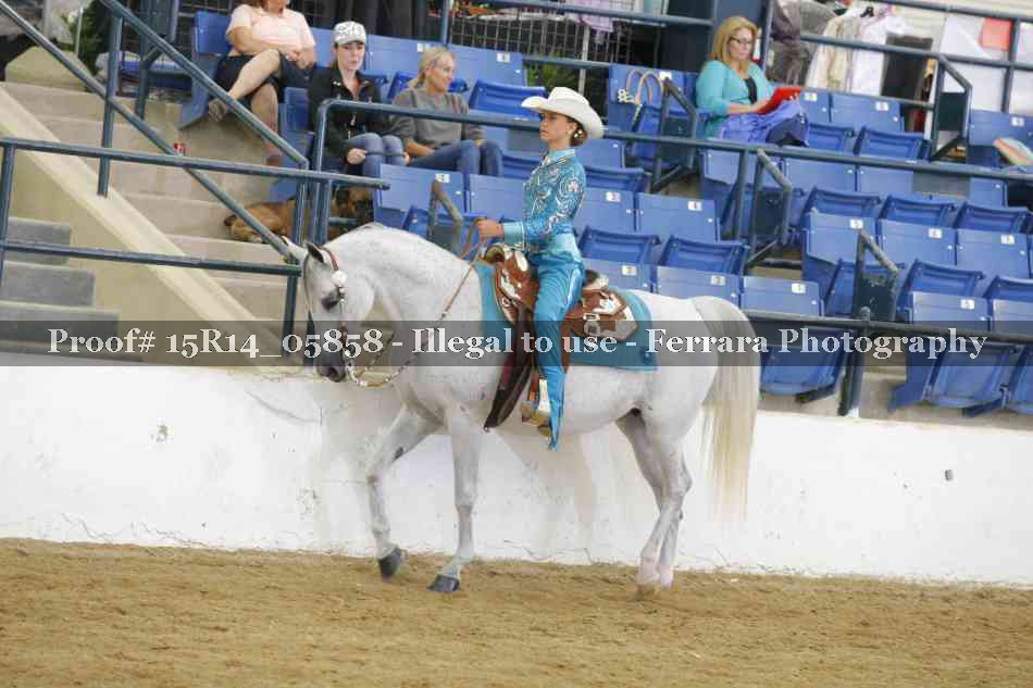 Proof Number 15R14_05858