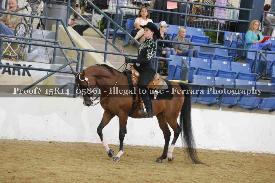 Proof Number 15R14_05861