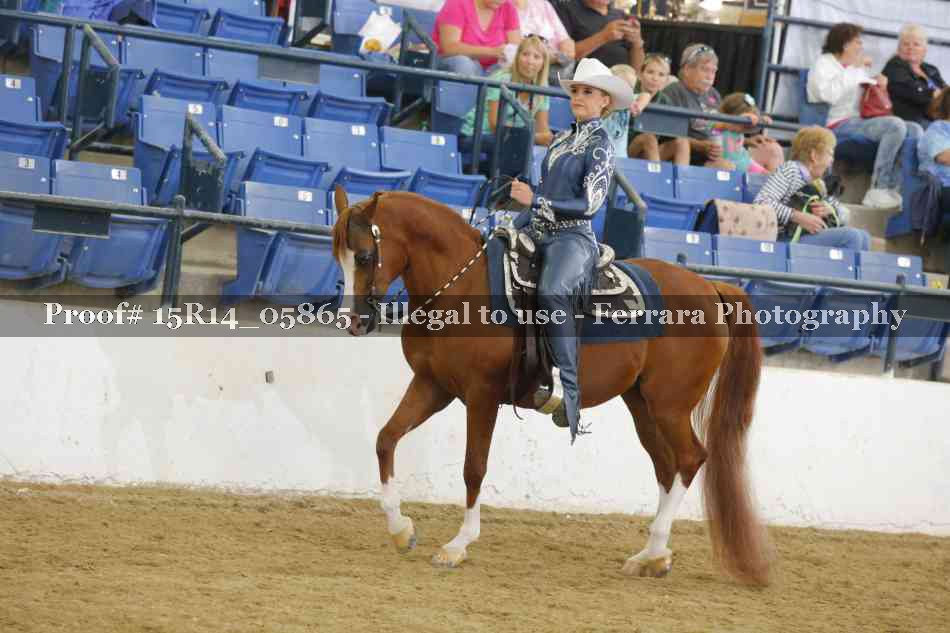 Proof Number 15R14_05865