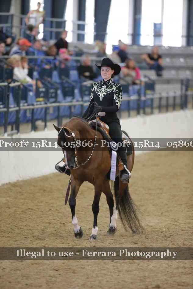 Proof Number 15R14_05866