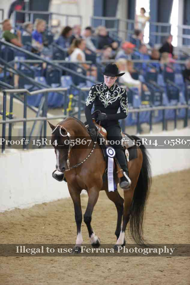 Proof Number 15R14_05867