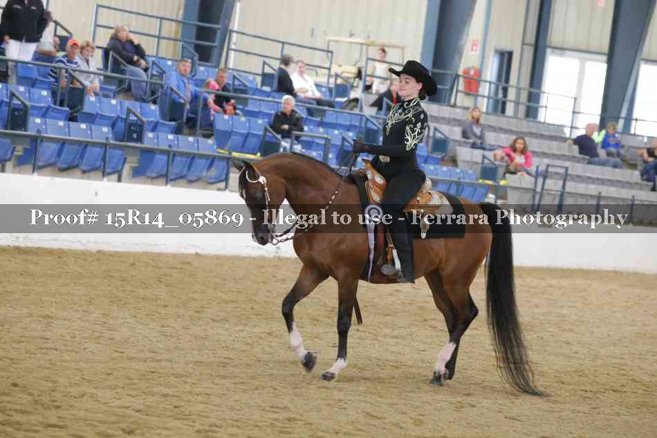 Proof Number 15R14_05869