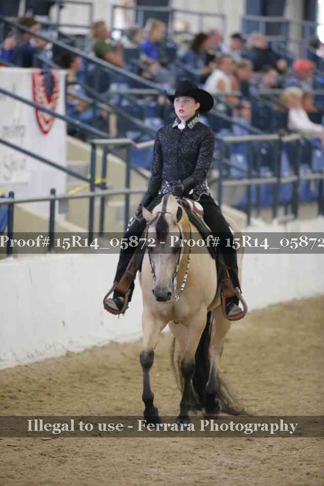 Proof Number 15R14_05872