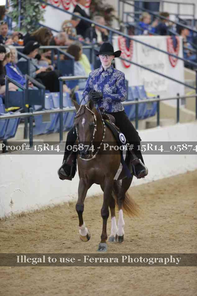 Proof Number 15R14_05874