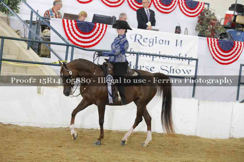 Proof Number 15R14_05880