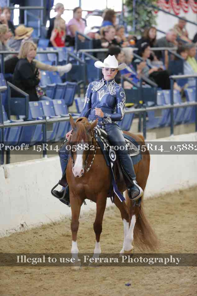 Proof Number 15R14_05882