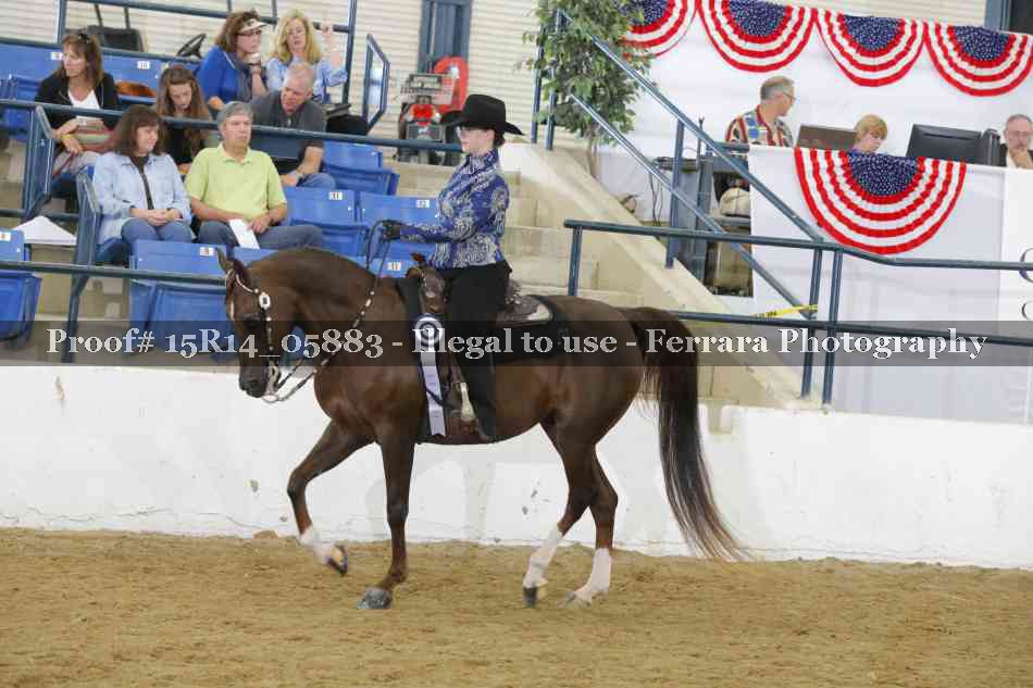 Proof Number 15R14_05883