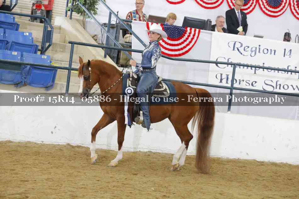 Proof Number 15R14_05886