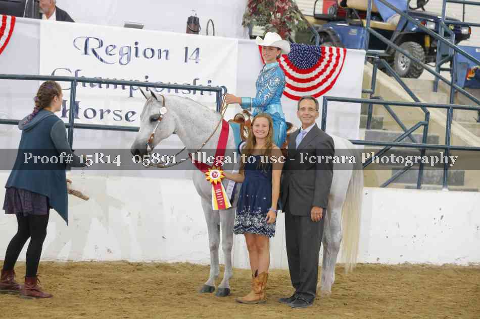Proof Number 15R14_05891