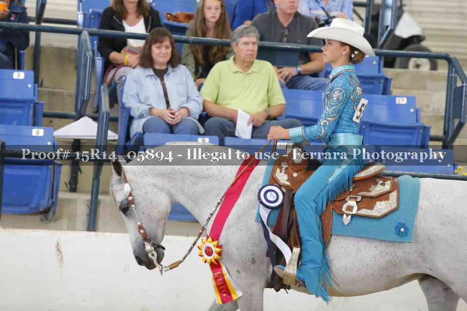 Proof Number 15R14_05894