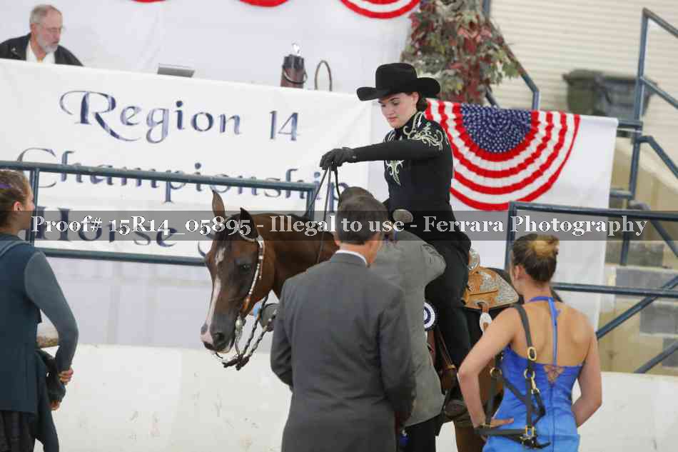 Proof Number 15R14_05895