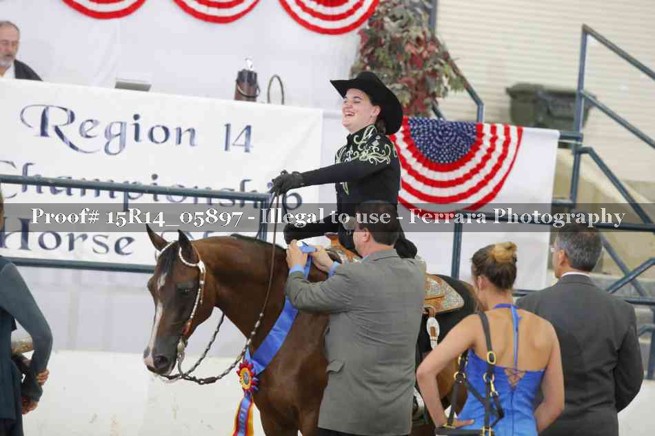 Proof Number 15R14_05897