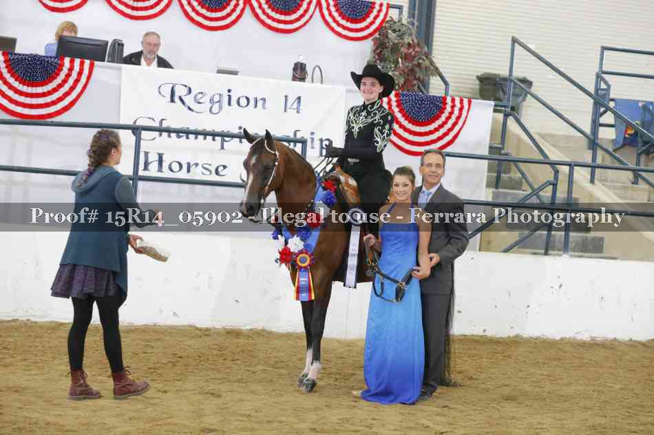 Proof Number 15R14_05902